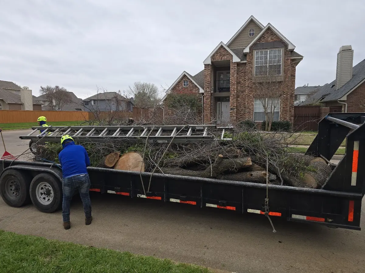 Expert Tree Fertilization with proper safety equipment in Grand River